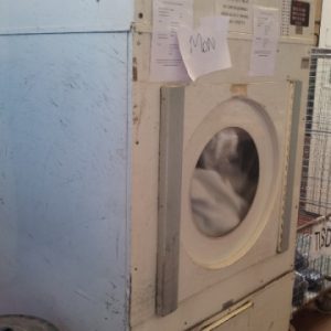 ADC 50kg gas-heated dryer